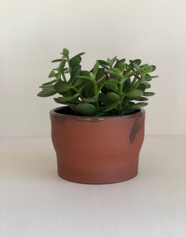 5" Pot