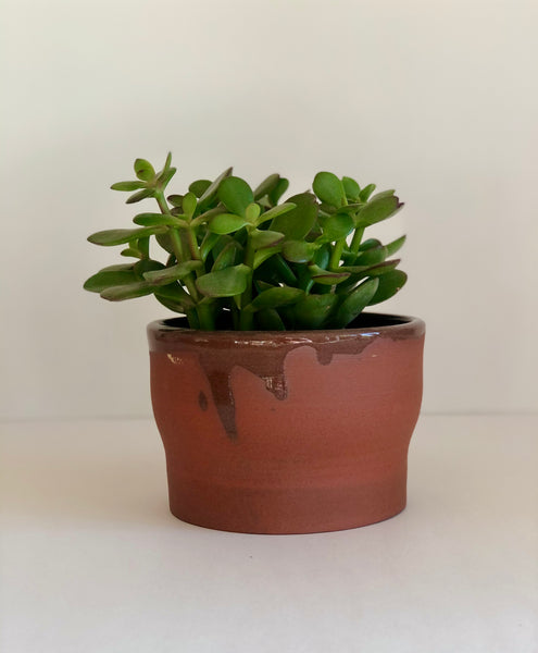 5" Pot