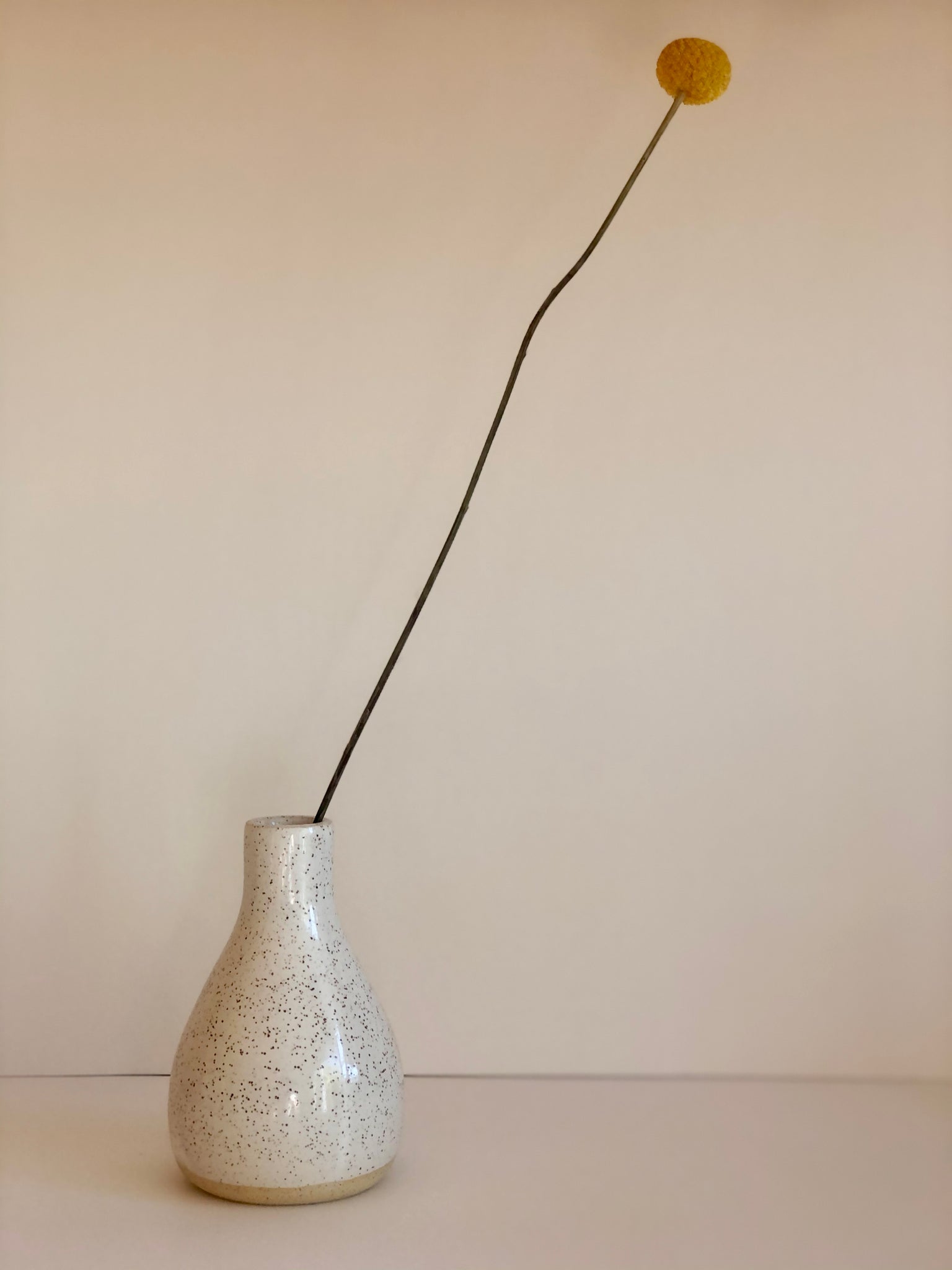 Bottle neck vase