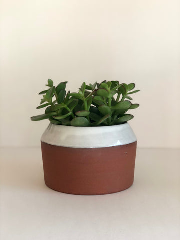 5" Pot